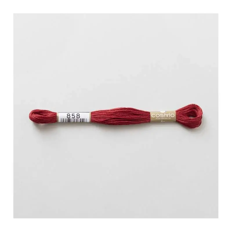Qualità garantita - 858 COSMO - Filo da ricamo giapponese COSMO - Mouliné Size 25 in cotone a 6 capi