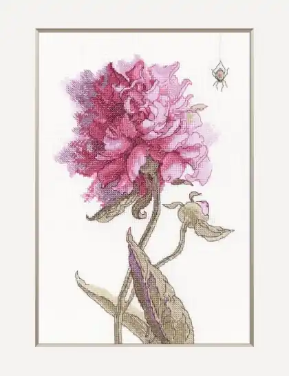 Diretto dal produttore | Peonies - Grace