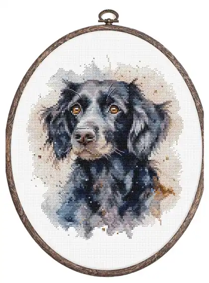 The Border Collie | Top vendite