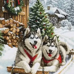 Acquista dal produttore - The Magic of the Nordic Winter