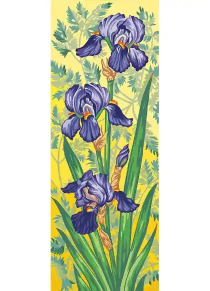 Sconto speciale | Iris viola