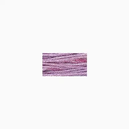 Super prezzo | Sampler Threads Punchberry