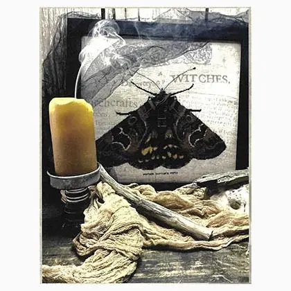 Moth Of Mother Shipton | Grande affare