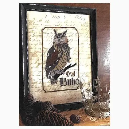 Svendita | Owl