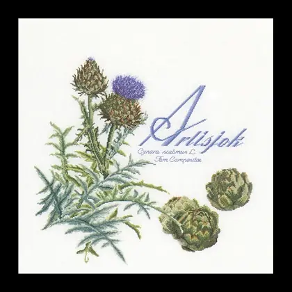 Qualità premium | Artichoke - bianco
