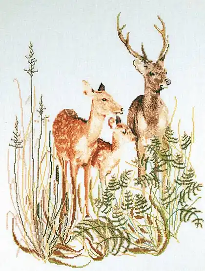 Scelto dai clienti | Deer Family