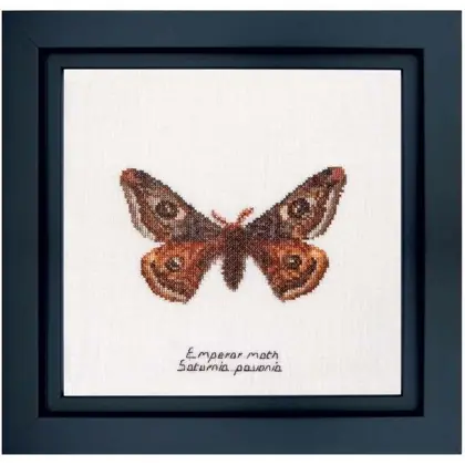 Reso gratuito - Emperor moth
