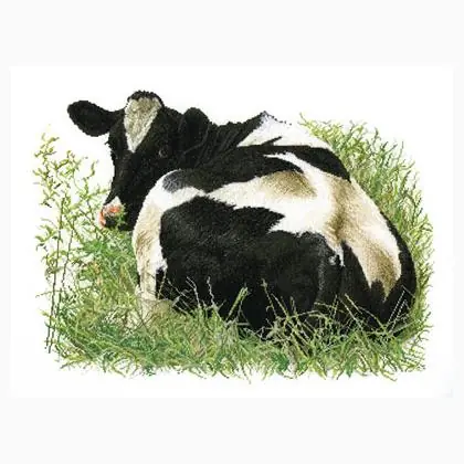 Offerta del giorno - Fresian Cow II - Aida