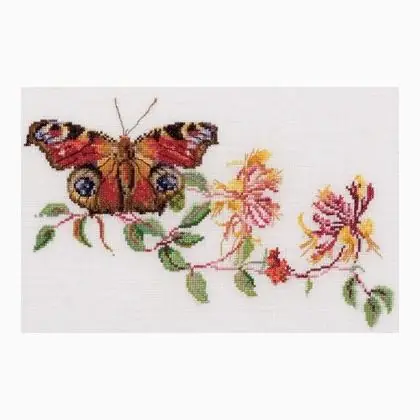 Honeysuckle - Aida - Offerta a tempo limitato