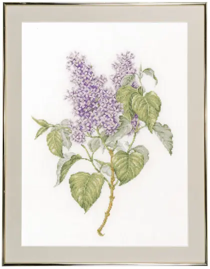 Lilac - Aida | Risparmio extra