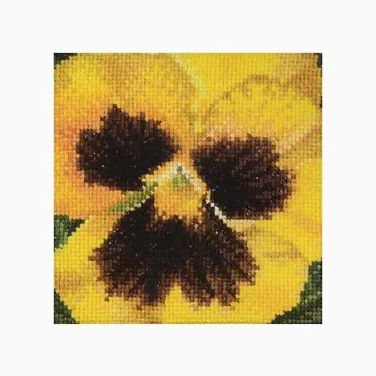 Prezzo imbattibile | Pansy Yellow and Brown