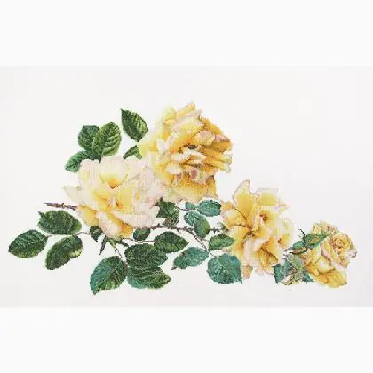 Prodotto di punta | Peace Rose - Bianco