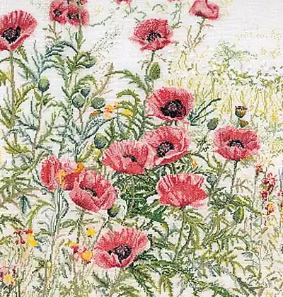 Appena arrivato | Pink Poppies - Aida