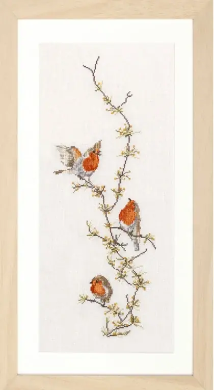 Robins | Offerta speciale