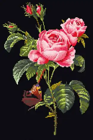 Solo per poco tempo - Rosa Redouté - Nero